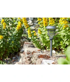 Smart Garden Pfahlleuchte Capri, Ca. B14/H48,5/T14 Cm -Gartenladen Im Freien 6758379 WE MO 003 CapriPfahlleuchteSolardeko