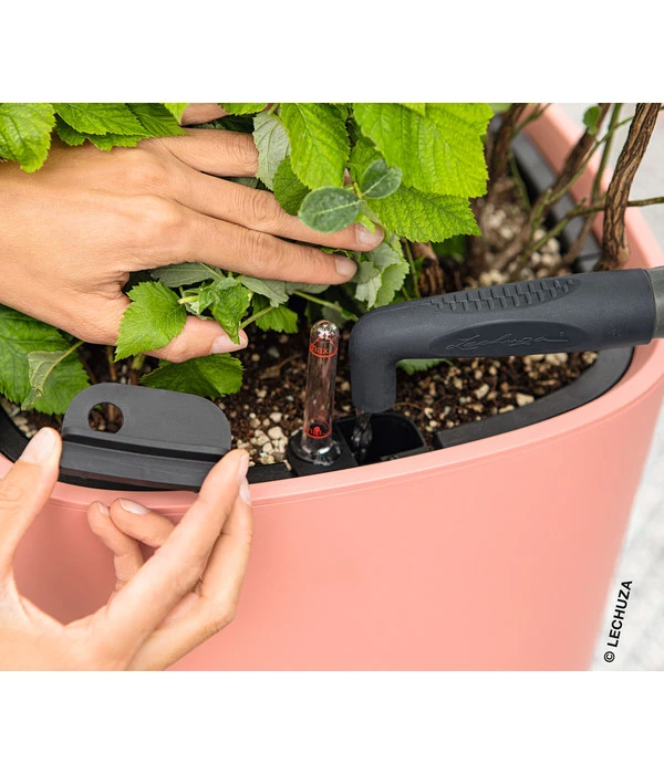 LECHUZA® Kunststoff-Topf Pila Color Planter, Rund, Ca. Ø35/H33 Cm 4 LECHUZA® Kunststoff-Topf Pila Color Planter, Rund, Ca. Ø35/H33 Cm – Bild 4