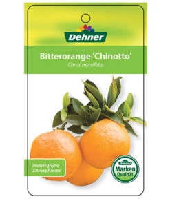 Bitterorange 'Chinotto' -Gartenladen Im Freien 7119803 BitterorangeChinottoEtikett1