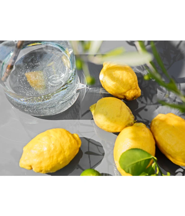 XXL Zitrone, Ca. 155-165 Cm 4 XXL Zitrone, Ca. 155-165 Cm – Bild 4