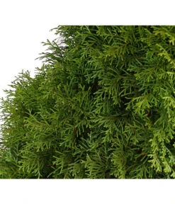 7 Meter Lebensbaum 'Smaragd', 20 X Ca. 100-125 Cm -Gartenladen Im Freien 7513534 WE DE 001 ThujaLebensbaumOccidentalisSmaragd20LDehnerExpressHerzig