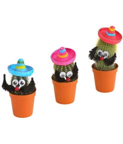 Kaktus Mit Sombrero - Cactaceae, Verschiedene Sorten -Gartenladen Im Freien 7977291 PR FS 001 KakteenMitSombreroRetDehnerExpressHerzig