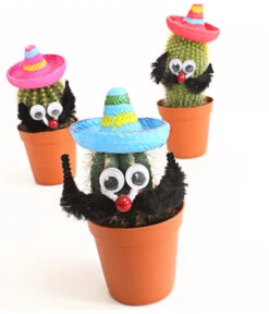 Kaktus Mit Sombrero - Cactaceae, Verschiedene Sorten -Gartenladen Im Freien 7977291 WE DE 001 KakteenMitSombreroDehnerExpressHerzig