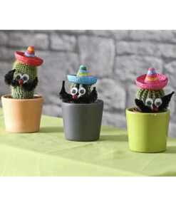 Kaktus Mit Sombrero - Cactaceae, Verschiedene Sorten -Gartenladen Im Freien 7977291 WE MO 001 KakteenMitSombreroDehnerExpressHerzig