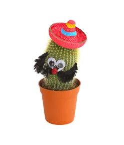 Kaktus Mit Sombrero - Cactaceae, Verschiedene Sorten -Gartenladen Im Freien 7977291 WE PR 003 KaktusRotMitSombreroDehnerExpressHerzig