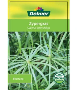 Zypergras - Cyperus Alternifolius -Gartenladen Im Freien 8218224 Zypergras Etikett 1