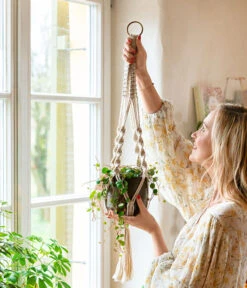 Peperomie - Peperomia 'Pepperspot' -Gartenladen Im Freien 8252173 WE MO 001 PeperomiePepperspotMakrameeAmpel