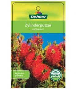 Zylinderputzer, Busch 10 Zylinderputzer, Busch -Gartenladen Im Freien 8620429 CallistemonEtikett1