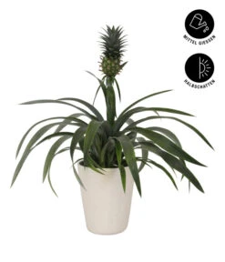 Gartenladen Im Freien -Gartenladen Im Freien 8627978 WE FS 002 AnanaspflanzeInKeramik