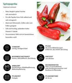 Spitzpaprika, Rot -Gartenladen Im Freien 8833501 WE IG 001 Spitzpaprika
