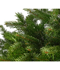 Nordmann-Tanne, Ca. 125-150 Cm, Im Topf Gewachsen 5 Nordmann-Tanne, Ca. 125-150 Cm, Im Topf Gewachsen -Gartenladen Im Freien 8995946 WE DE 001 AbiesNordmannianaNordmanntanne125 150Co8LDehnerExpressHerzig