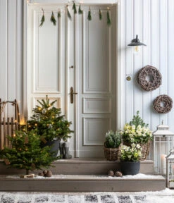 Dehner Kranz Weinrebe Frost, Ca. Ø48 Cm -Gartenladen Im Freien 8996100 8014870 8014557 8014722 8014847 WE MO 001 AbiesNordmannianaHolzkreuzWeihnachtsbaeume