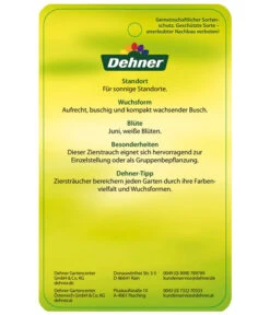 Blasenspiere 'Tiny Wine' -Gartenladen Im Freien BlasenspiereTinyWine Etikett 2